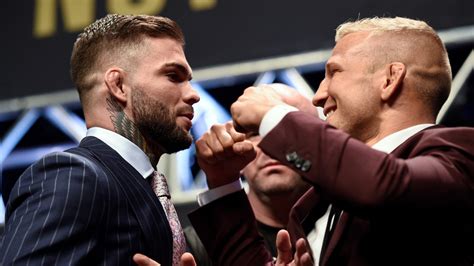 tj dillashaw cody garbrandt beef.
